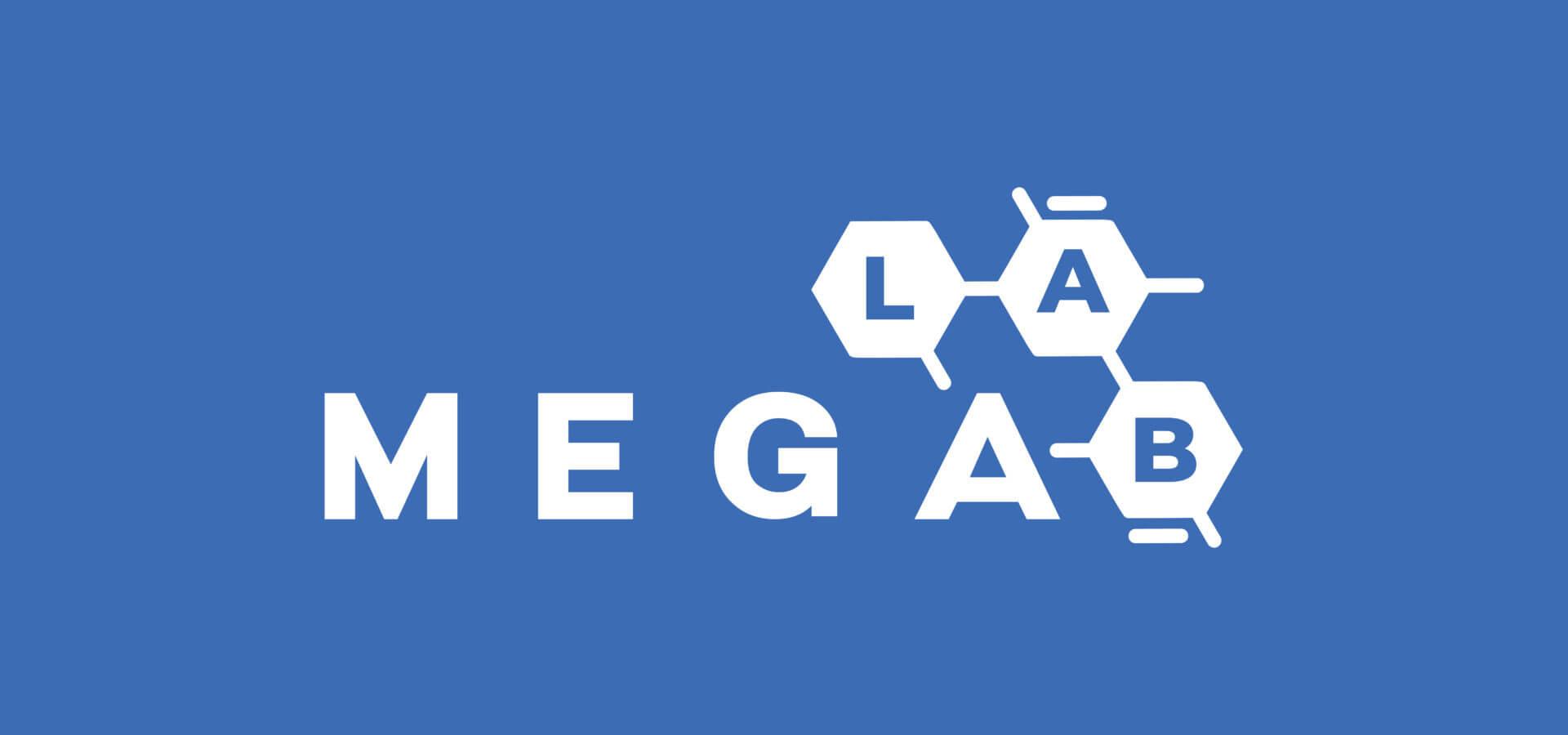 Restyling nuovo logo e sito web per MEGA LAB