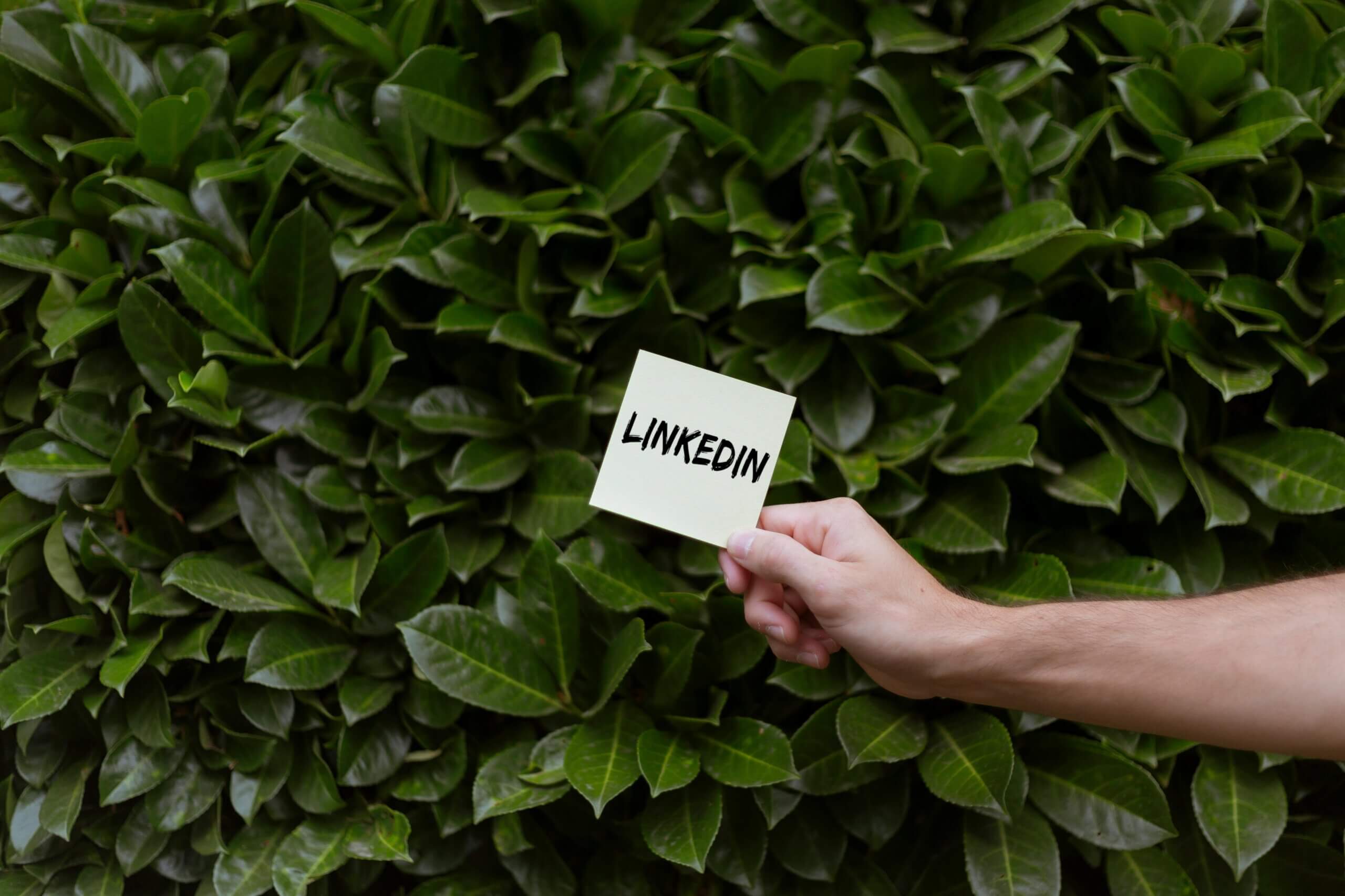 Come sfruttare LinkedIn per generare lead B2B nel 2025
